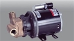 March Pump Assy 830-BR-T 115/230V 50/60HZ Model# 0175-0005-0300