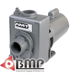 1-1/2" Cast Iron Centrifugal Pump AMT 282L-95