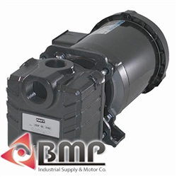 1" to 1-1/4" Cast Centrifugal Pump AMT 2855-95