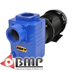 3" Cast Iron Centrifugal Pump AMT 2877-95