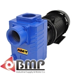 3" Cast Iron Centrifugal Pump AMT 2878-95