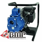 Briggs & Stratton OHV 2" Handling Pump AMT 2G4XACR