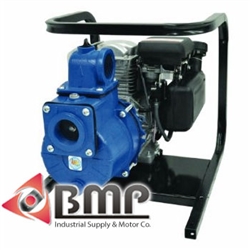 Briggs & Stratton OHV 2" Handling Pump AMT 2G4XACR