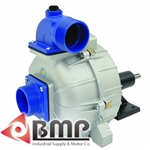 3/4" Keyed Shaft Pedestal Pump IPT 2S5XP