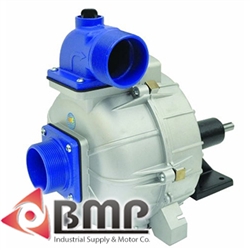 3/4" Keyed Shaft Pedestal Pump IPT 2S5XP