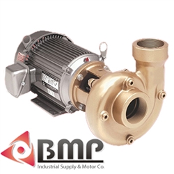2 TO 15 HP Heavy Duty Straight Pump AMT 3151-94