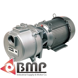 2" NPT Sewage/Trash Pump AMT 316B-95