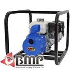 Ball Bearing with 3/4" Shaft 2"Pump AMT 316F-99