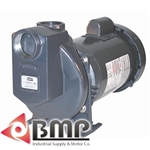 1-1/2"Stainless Steel & Bronze Pump AMT 3891-98