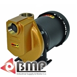 1-1/2"Stainless Steel & Bronze Pump AMT 3893-97