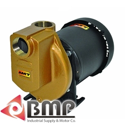 1-1/2"Stainless Steel & Bronze Pump AMT 3893-97