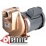 1-1/2"Stainless Steel & Bronze Pump AMT 3899-97