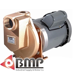 1-1/2"Stainless Steel & Bronze Pump AMT 3899-97