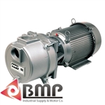 2" NPT Sewage/Trash Pump AMT 393B-95