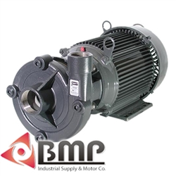 2 TO 15 HP Heavy Duty Straight Pump AMT 4264-98