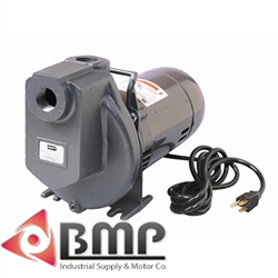 1" Self-priming Aluminum Pump AMT 4292-96