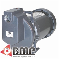 1" Stainless Steel Centrifugal Pump AMT 4298-98