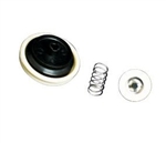 Pentair Shurflo 94-237-00 CHECK VALVE, CE