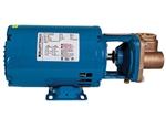 BURKS PUMP TURBINE 1PH 1/2HP BF Model# 35CT7M