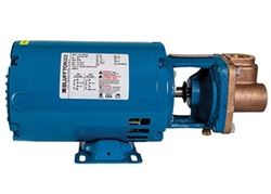 BURKS PUMP BF 1/3HP 1PH Model# 3CT5M