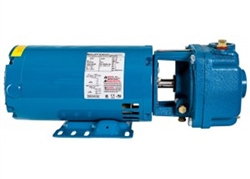 BURKS PUMP BF 1HP 1PH Model# 10CS5M